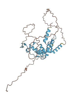 ZNF396 3D structure