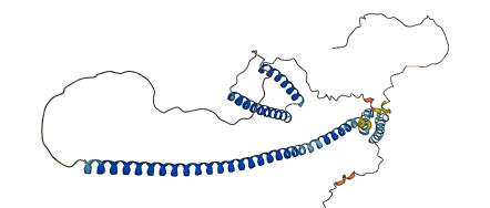 RILP 3D structure