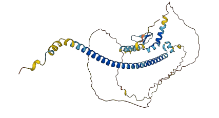 ZNF830 3D structure