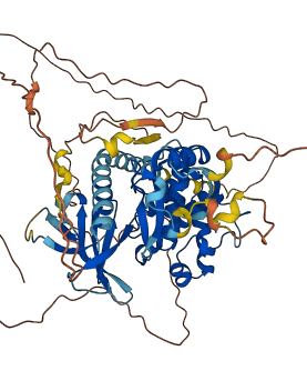 FRMD6 3D structure