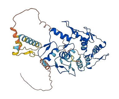 ZNF558 3D structure