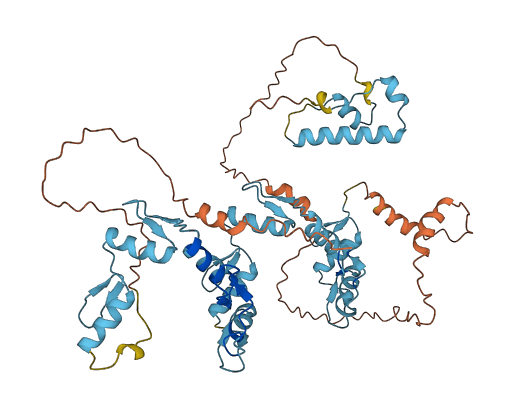 ZNF582 3D structure