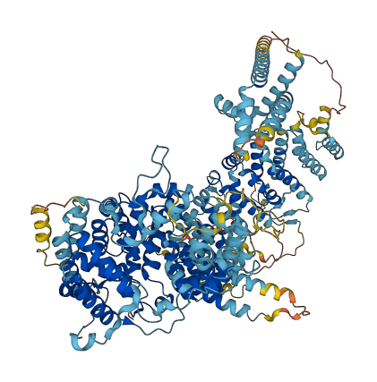 TBC1D32 3D structure