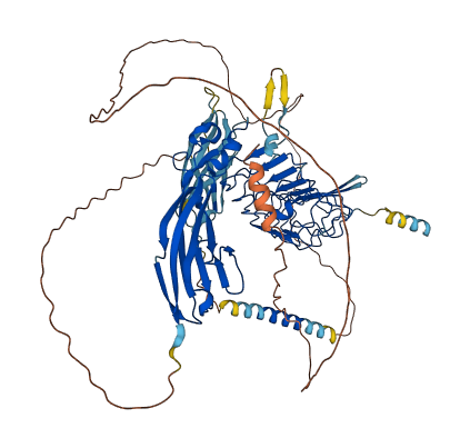 LRFN5 3D structure