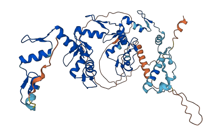 ZNF570 3D structure