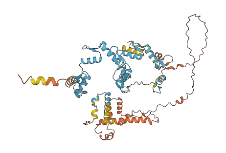 ZNF285 3D structure