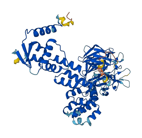 KLHL32 3D structure