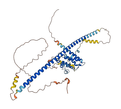 RUNDC3B 3D structure