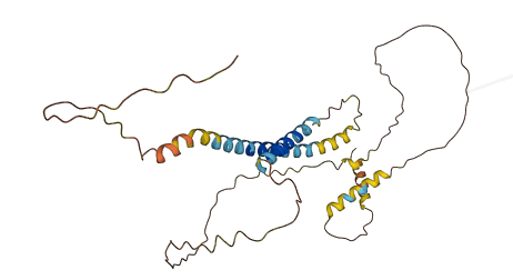 TMEM74 3D structure