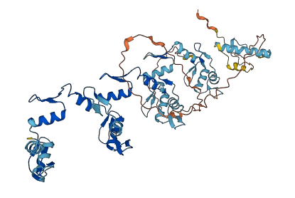 ZNF599 3D structure