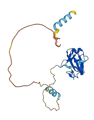 C8orf37 3D structure