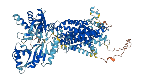 PTCHD1 3D structure