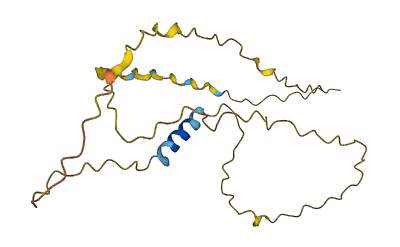 WWC2-AS2 3D structure