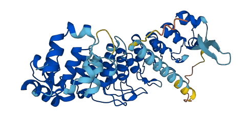 ASB16 3D structure