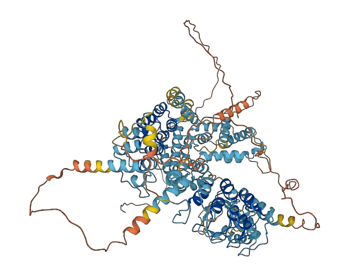 ANKRD27 3D structure