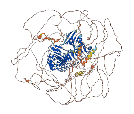 LRRC7 3D structure