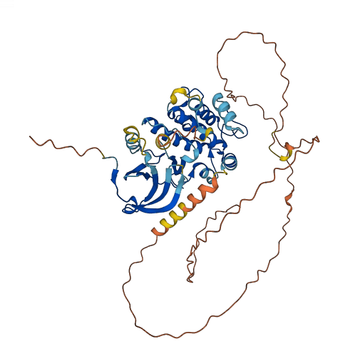 CAMK1G 3D structure