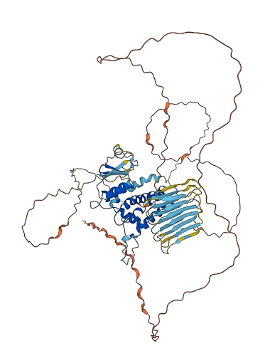 CLIC6 3D structure