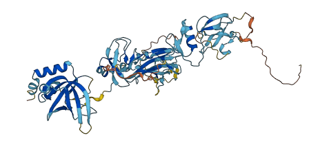 WFIKKN1 3D structure