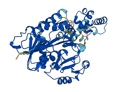 NSUN5 3D structure
