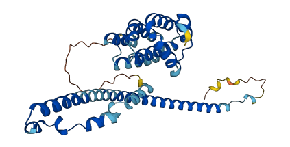 RPRD1A 3D structure