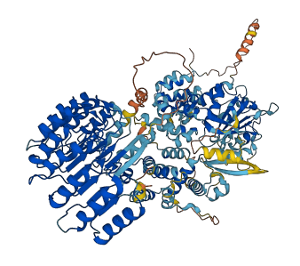 NLRP3 3D structure