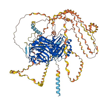 COL21A1 3D structure