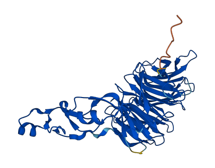 WDFY2 3D structure