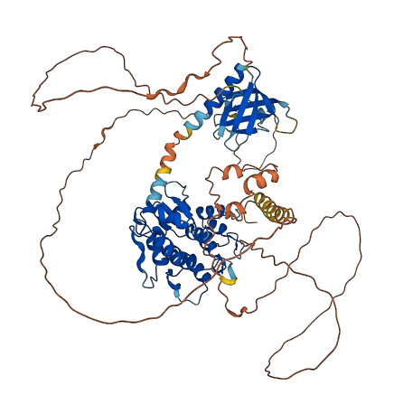 AGAP4 3D structure