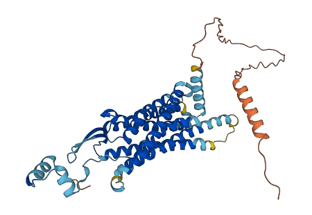 QRFPR 3D structure