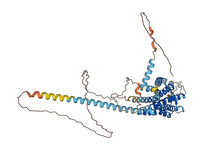 GPR101 3D structure