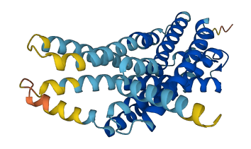GPR82 3D structure