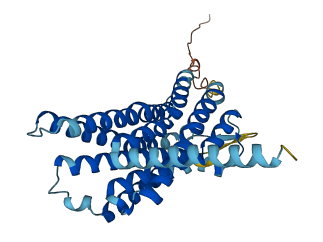 OXGR1 3D structure
