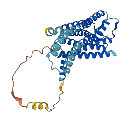 GPR78 3D structure
