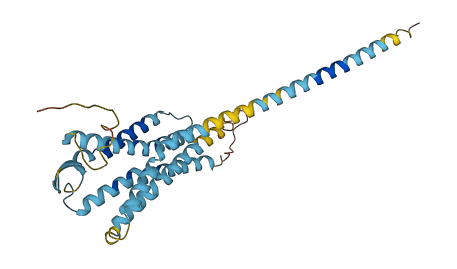 GNRHR2 3D structure