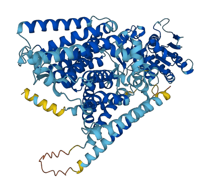 CASD1 3D structure
