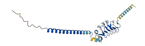 LRRC3B 3D structure