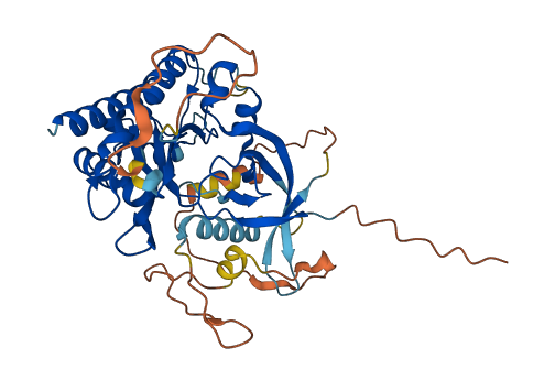 IP6K3 3D structure