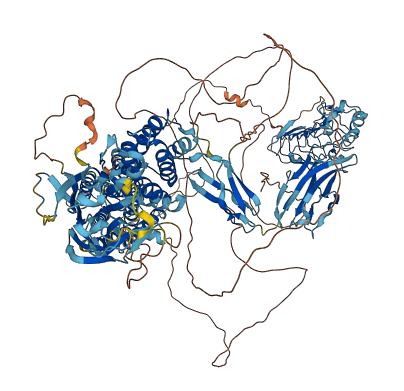 ADGRA2 3D structure