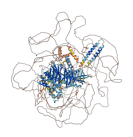 ARHGEF17 3D structure