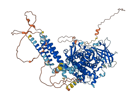 INPP4A 3D structure