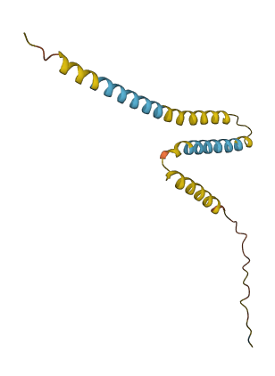 MS4A4E 3D structure