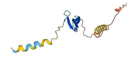 DEFB118 3D structure