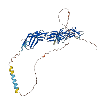 FCRL4 3D structure