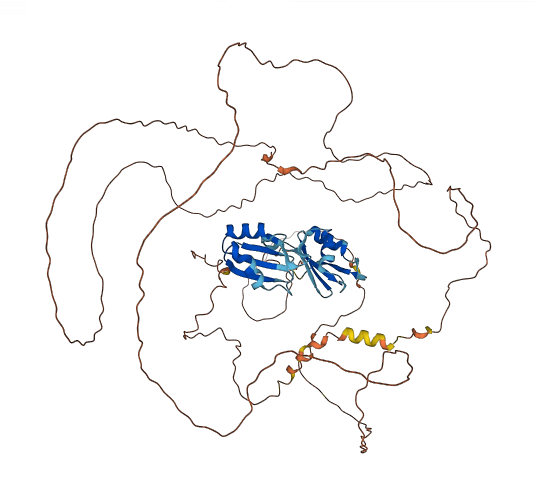 RBM14 3D structure