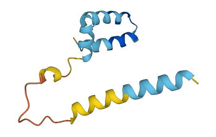 SCGB3A2 3D structure