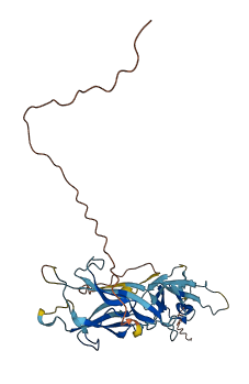 TECTB 3D structure