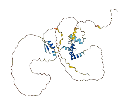 ZNF385A 3D structure