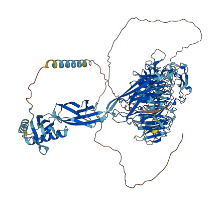 SORCS2 3D structure