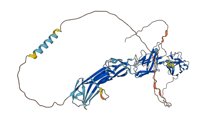 SIGLEC12 3D structure